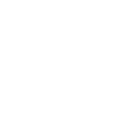 Pixel 2025